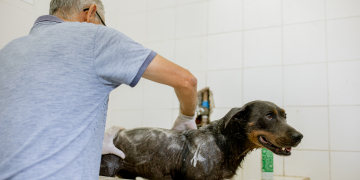 Foto: Isabela Borghese