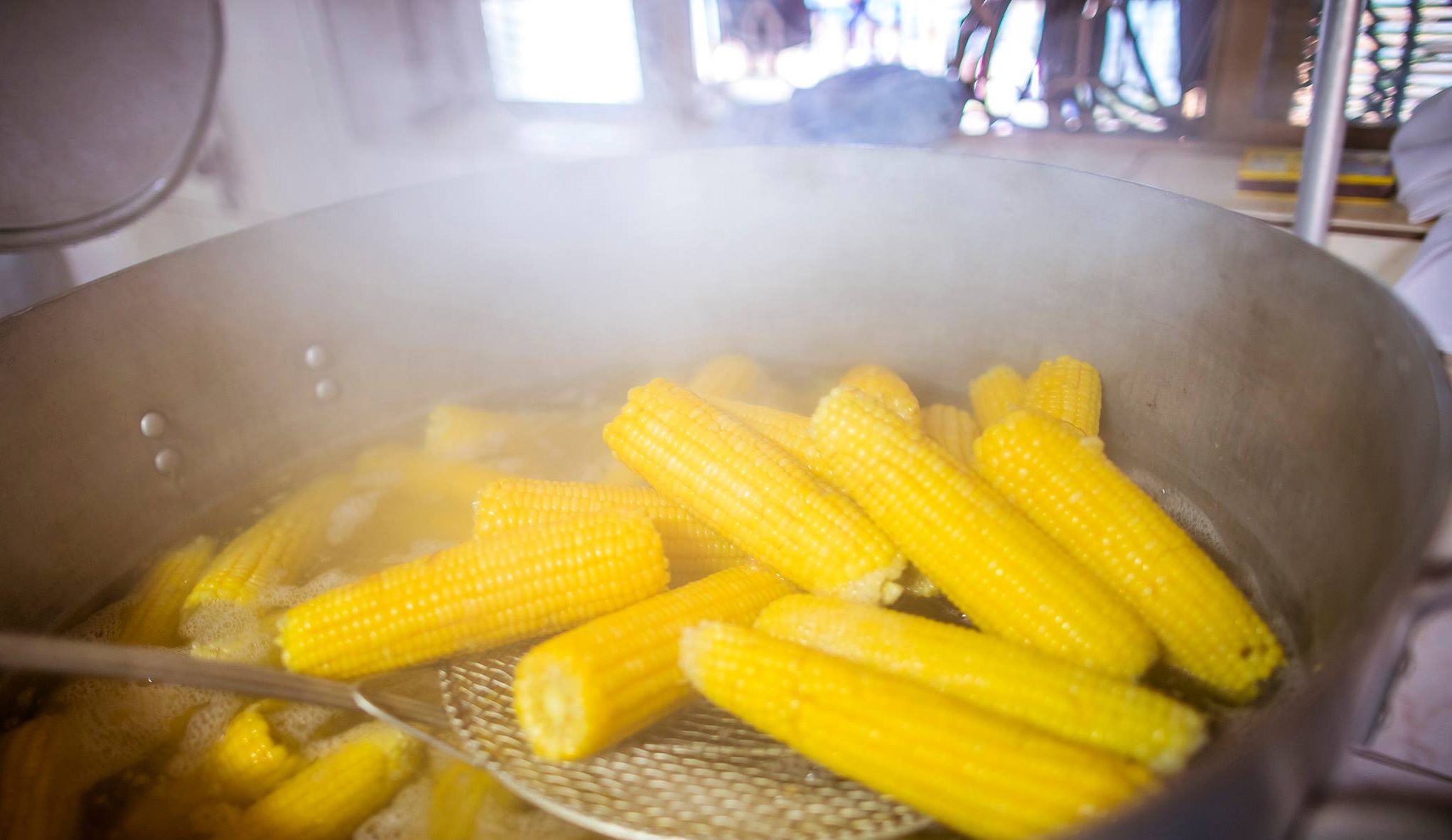 Festa do Milho de Tanquinho começa neste fim de semana em Piracicaba (SP)