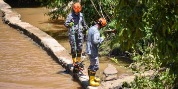 Foto: Wagner Romano / PIRANOT