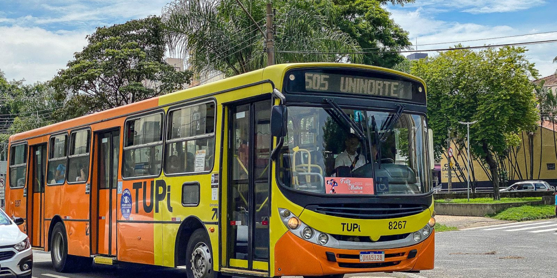 Foto: Wagner Romano / PIRANOT