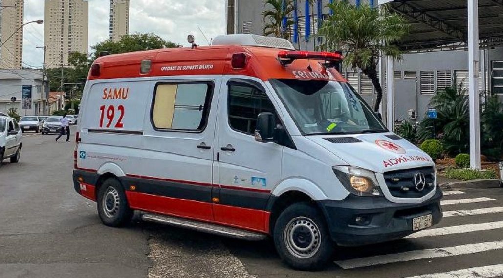 Foto: Wagner Romano / PIRANOT