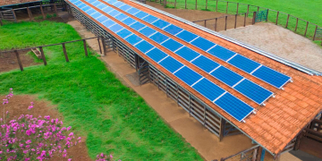 Foto: Divulgação/Reprodução