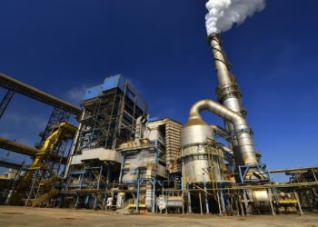 Aprovada: Tiago Zuppardo_agosto2013