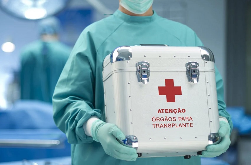 Como Funciona a Fila do SUS de Transplante de Órgãos: Saiba os Critérios, Regras e Prioridades