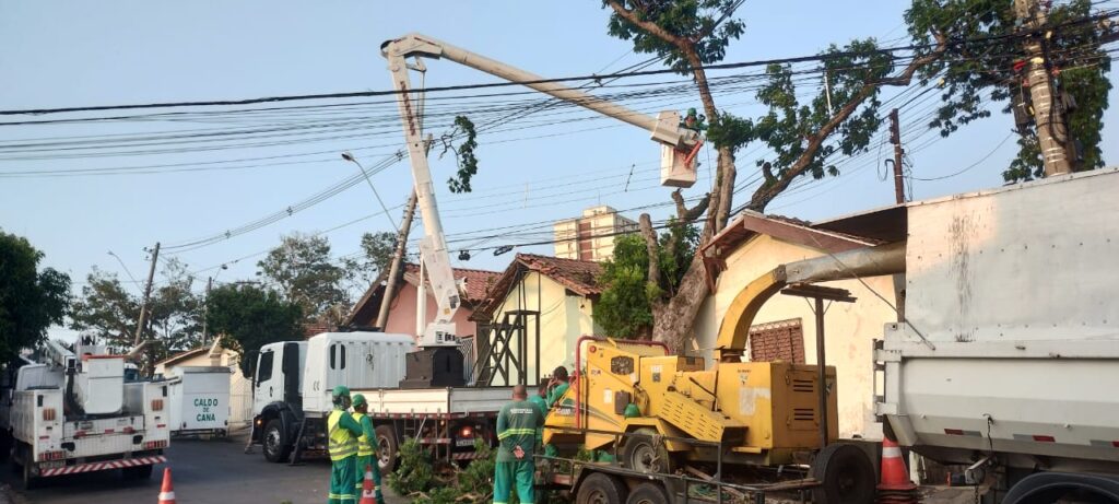 Dados atualizados mostram que Piracicaba registrou queda de 120 árvores em decorrência do temporal