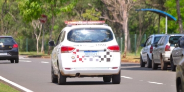 Foto: Arquivo/Wagner Romano/PIRANOT