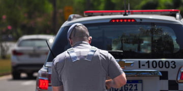 Foto: Arquivo/Wagner Romano/PIRANOT