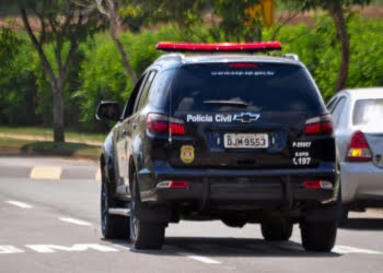 Foto: Arquivo/Wagner Romano/PIRANOT