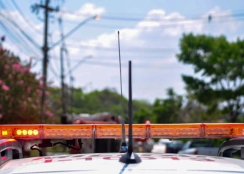 Foto: Arquivo/Wagner Romano/PIRANOT