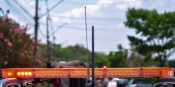 Foto: Arquivo/Wagner Romano/PIRANOT