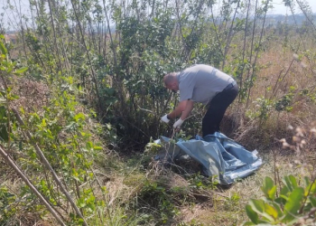 Foto: Guarda Civil de Piracicaba