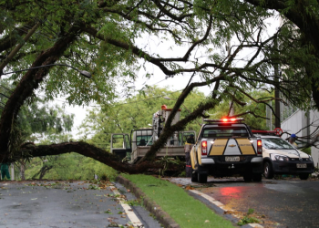 Foto: Gustavo Alves de Oliveira