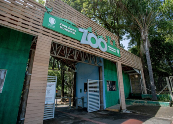 Neste mês, o zoológico municipal sedia o projeto Animaférias, em diferentes dias - Foto: Divulgação