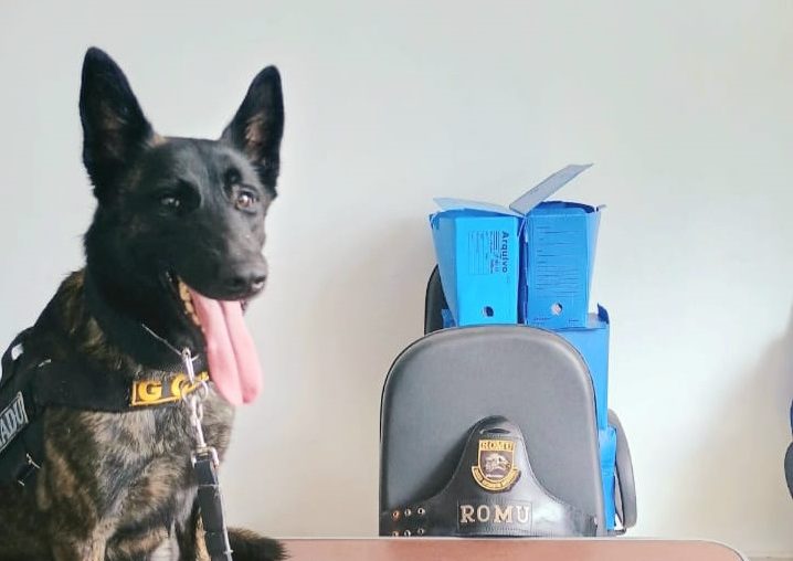 Guarda Civil de Piracicaba apreende menor com mais de 100 porções de crack e maconha