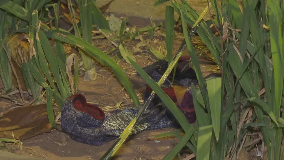 Dois moradores de rua são espancados e esfaqueados até a morte nesta madrugada (22)