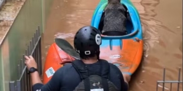 FOTO: Reprodução/Redes Sociais