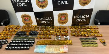 Foto: Divulgação/Polícia Civil