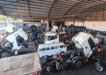 Foto: Polícia Civil