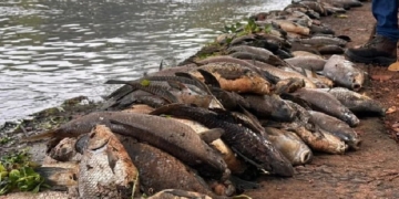 Foto: Comunicação Social/Prefeitura de Piracicaba