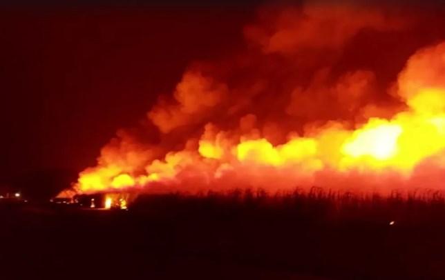 Música “Incêndio no Canavial” reflete sobre a brutalidade do fogo na cana de açúcar, matéria prima do etanol