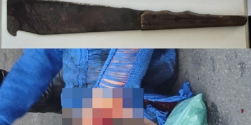 Foto: Divulgação/Guarda Civil Municipal