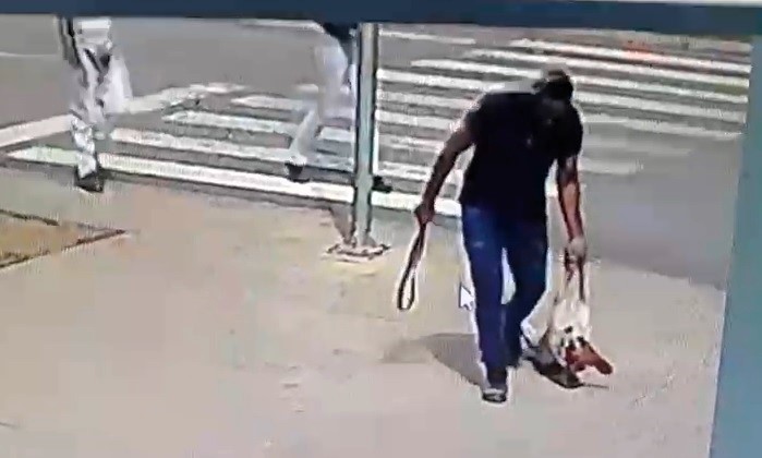 Vídeo: cão é arrastado e agredido por funcionário de empresa; Polícia Civil de Piracicaba indicia agressor