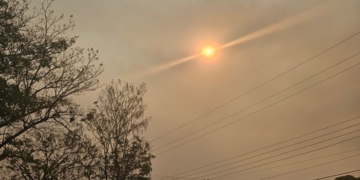 Foto: Andrey Moral/PIRANOT