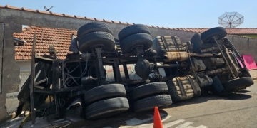 Foto: Andrey Moral/PIRANOT