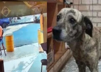 Foto: Divulgação/MP-SP