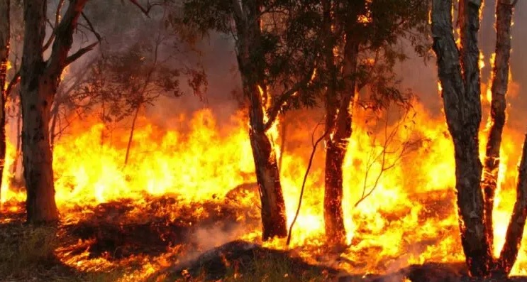 Governo aciona PF com suspeita de novo “dia do fogo” em São Paulo