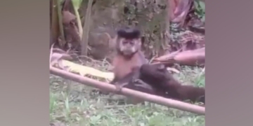 Foto: Divulgação/PCERJ