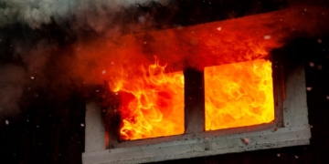 Foto: Reprodução/Canva