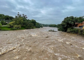 Foto: Wagner Romano/PIRANOT