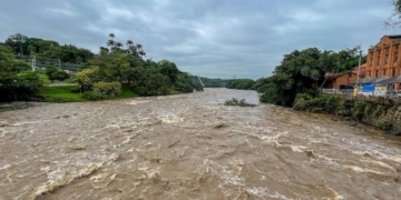 Foto: Wagner Romano/PIRANOT