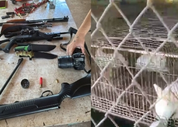 Foto: Polícia Militar Ambiental