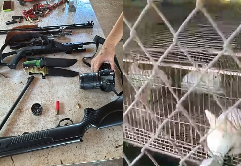 Aves mortas, animais presos e armas ilegais são encontrados em escola na região de Piracicaba