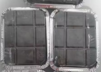 Foto: Divulgação/Polícia Civil