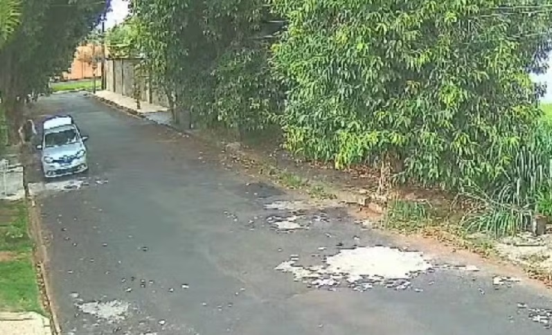 Crueldade: motorista abre porta-malas do carro e abandona dois cachorros