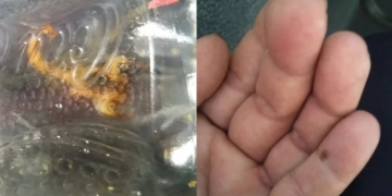 Foto: Reprodução/EPTV