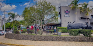 Foto: Wagner Romano/PIRANOT