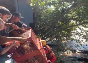 Foto: Enzo Oliveira/ TV Metropolitana