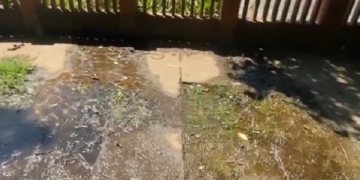 Foto: Reprodução/EPTV