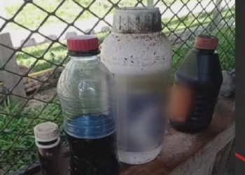 Foto: Polícia Civil do Paraná