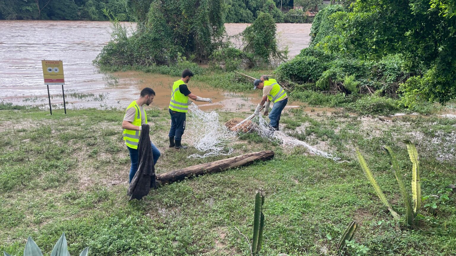 Capivara ferida na Rua do Porto é resgatada e encaminhada para tratamento