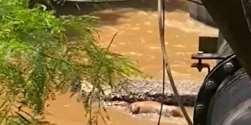 Foto: Reprodução/G1