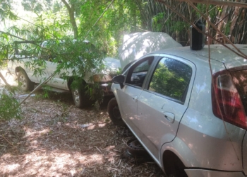 Foto: Daniel Zawitoski