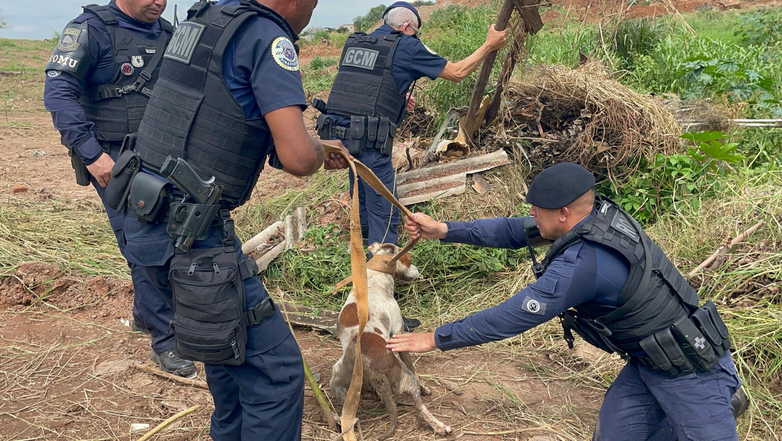 Cachorro é resgatado dentro de esgoto por agentes da Romu e GCM em Piracicaba