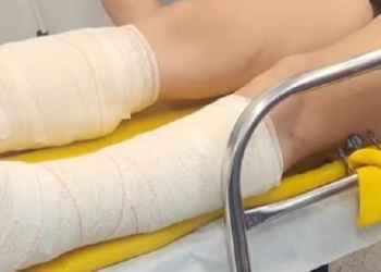 Foto: Divulgação/Guarda Civil de Piracicaba