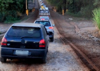 Foto: Gustavo Alves de Oliveira/PIRANOT
