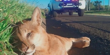 Foto: Rosivaldo Amaro Silva